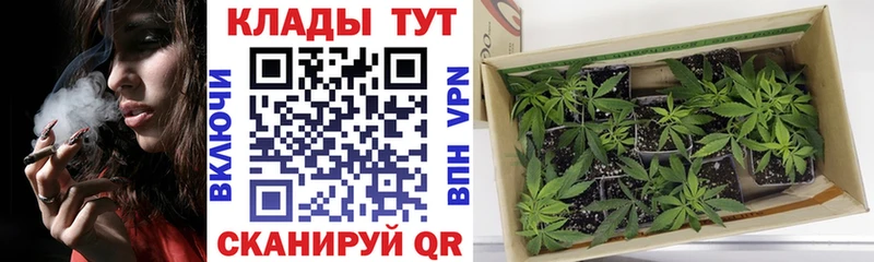 Где найти наркотики Усолье-Сибирское ГАШИШ  COCAIN  Галлюциногенные грибы  Бошки Шишки  Меф мяу мяу 