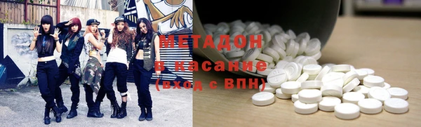 прущие грибы Абаза