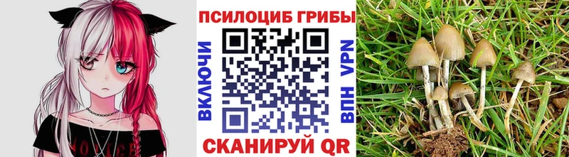 Галлюциногенные грибы ЛСД  mega маркетплейс  Усолье-Сибирское  магазин   